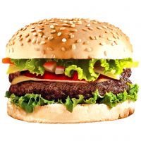Hippo Special Burger(Veg/Non Veg)